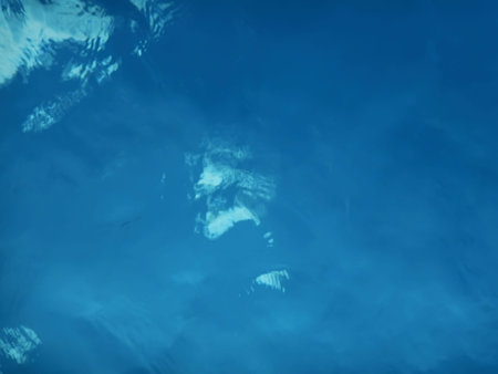 Underwater View of the Water Surface. Underwater Background