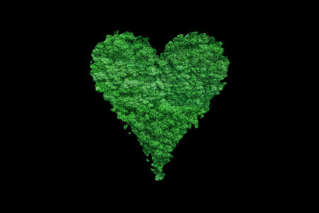 Heart card symbol, playing cards symbolの写真素材