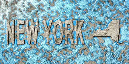 New York Water Management Concept, Environmental Strategy