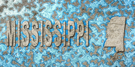 Mississippi Water Management Concept, Environmental Strategy