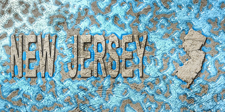 New Jersey Water Management Concept, Environmental Strategy