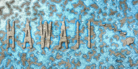 Hawaii Water Management Concept, Environmental Strategy