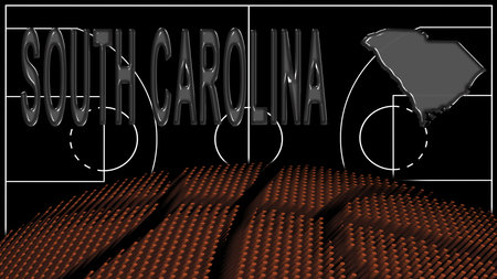 South Carolina on Basketball Court, National Theme Conceptの写真素材