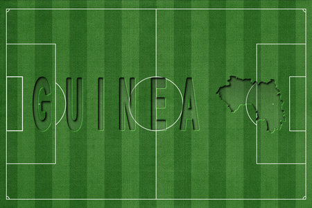 Guinea on Soccer Field, National Team Conceptの写真素材