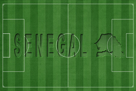 Senegal on Soccer Field, National Team Conceptの写真素材