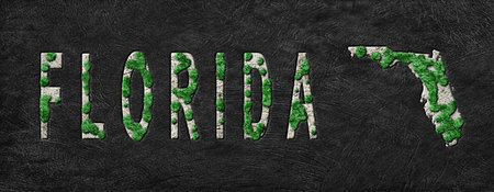 Map of Florida Reforestation Green Agenda, Climate Messageの写真素材