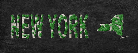 Map of New York Reforestation Green Agenda, Climate Messageの写真素材