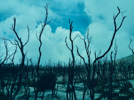 Mount Papandayan is a large composite volcano. It is constructed of alternating layers of lava and ash, and other fragmental volcanic rock debris formed by explosive eruptionsの写真素材