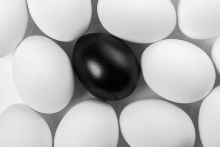 Background of chicken white eggs closeupの写真素材