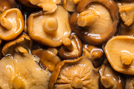 background food from the texture of pickled mushrooms closeupの写真素材