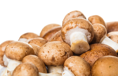 raw mushrooms champignons close-up on white backgroundの写真素材