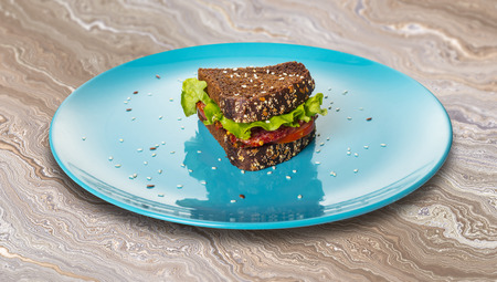 sandwich with salami and vegetables in plate