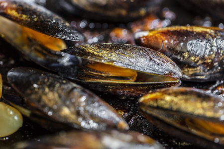 food background, texture of cooked mussels closeupの写真素材