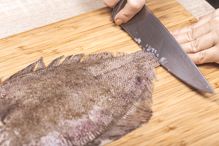 cook cutting fish flounder, female hands closeupの写真素材