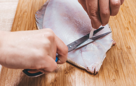 cook cutting fish flounder, female hands closeupの写真素材