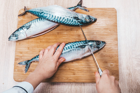 cook cuts raw mackerel fish, hands closeupの写真素材