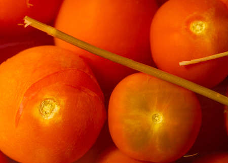 food background of pickled tomato closeupの写真素材