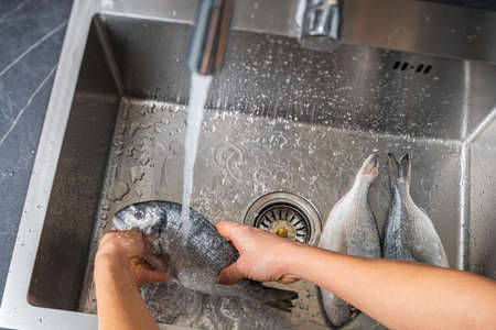 Dorado fish washing under running water, hands close-upの写真素材