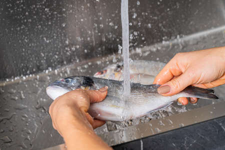 Dorado fish washing under running water, hands close-upの写真素材