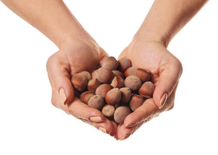 shelled hazelnuts in hands on a white isolated backgroundの写真素材