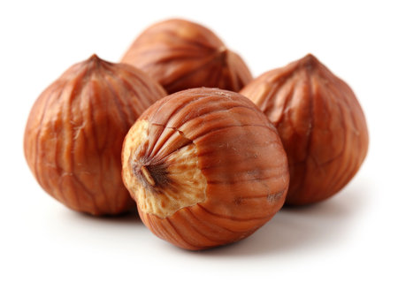 hazelnuts isolated white backgroundの素材