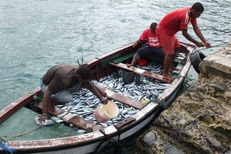 Tarrafal, Cape Verde - November 29, 2012: Some African fishermen are coming back to the village.のeditorial素材