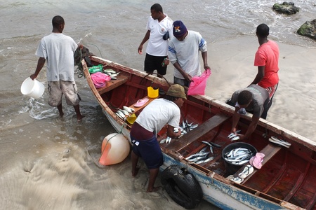TARRAFAL, CAPE VERDE - NOVEMBER 29: Some African fishermen are coming back to the village.They prepare the fishes to sell them, on November 29, 2012, in Tarrafal, Cape Verde.のeditorial素材