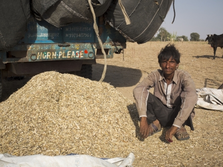 THE RAJASTHAN,  INDIA - MARCH 9: an unidentified man is posing beside his harvest  at the fair, on March 9, 2013, in the Rajasthan,India. のeditorial素材