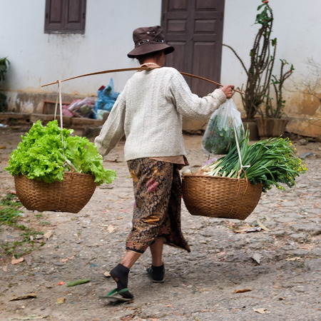 LUANG PRABANG, LAOS -  FEBRUARY 7   a woman is carrying a yoke with green vegetables on her shoulder to go to the market,  on February 7, 2014, in Luang Prabang, Laos  のeditorial素材