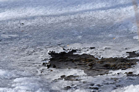melted stream in the spring in the forestの写真素材