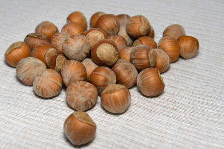 hazelnuts scattered on the table