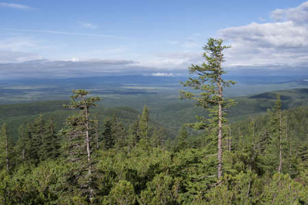 mountain slopes of the taiga under the cloudsの写真素材