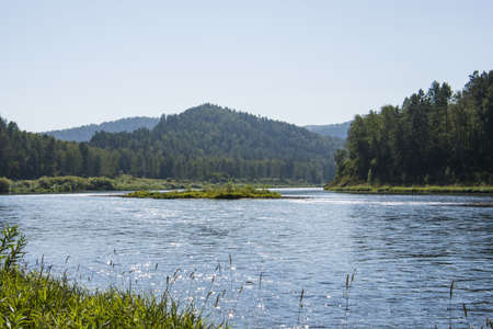 a river flowing in the forestの写真素材