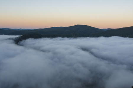 fog in a forest valleyの写真素材