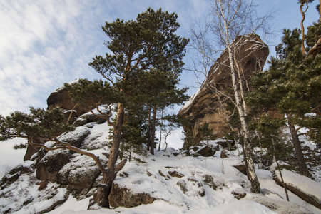 a rocky ledge in the forest