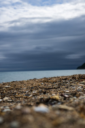 Seashells on the shore of the sea under a cloudy skyの写真素材