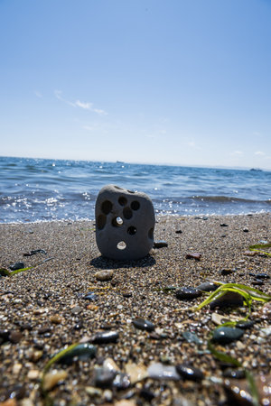 A stone on the beach of the Baltic Sea. selective focus.