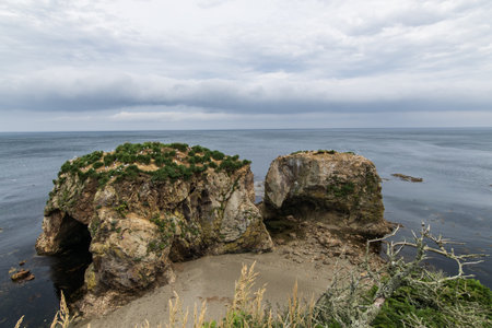 The coast of the Sea of Okhotsk in cloudy weather with rocks and vegetationの写真素材