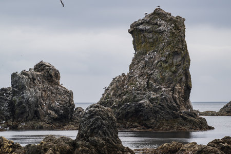 Rock in the sea at low tideの写真素材