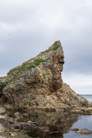rocky coast of the baltic sea under a cloudy skyの写真素材