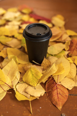 Coffee cup and autumn leaves on wooden background. Selective focus.の写真素材