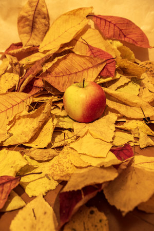 autumn leaves and apple on a wooden background, note shallow depth of fieldの写真素材