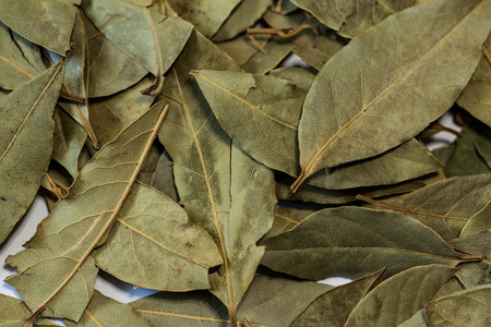 dried leaves of the bay leaf, close-up.