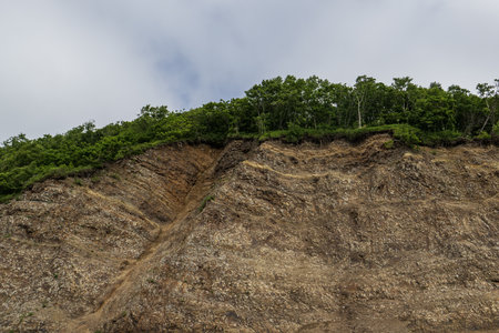 Rocky hillside with green forest and cloudy sky in the backgroundの写真素材