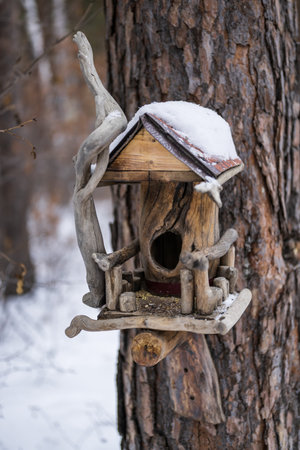 Wooden bird feeder on the tree in the winter forest.の写真素材