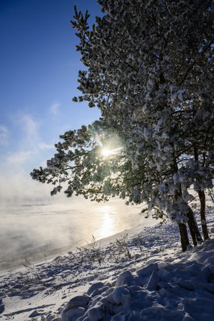 Winter landscape with snow covered trees and fog on the river bank.の写真素材