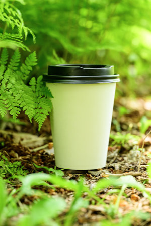 Coffee to go in the forest on green grass background.の写真素材