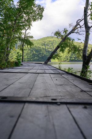 Wooden bridge over the river in the forest, beautiful photo digital picture