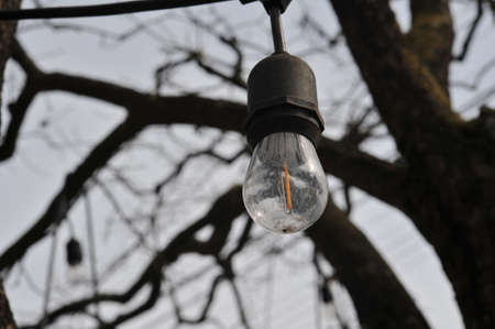 A bare light bulb hanging out on a winter dayの写真素材