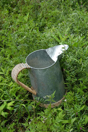 Tin jug for gardening placed in the garden